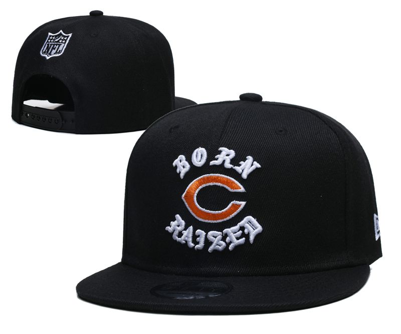 2025 NFL Chicago Bears Hat YS2025411